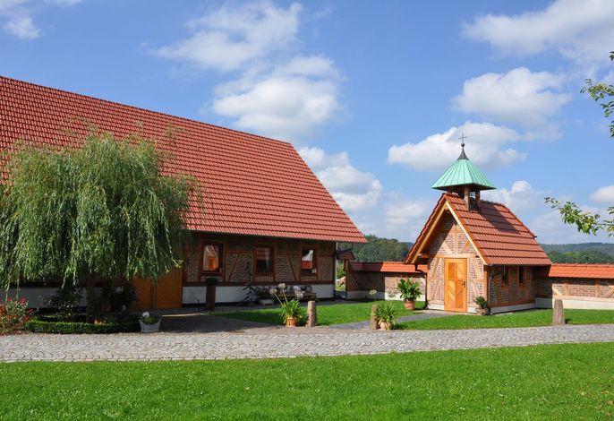 Bild 7