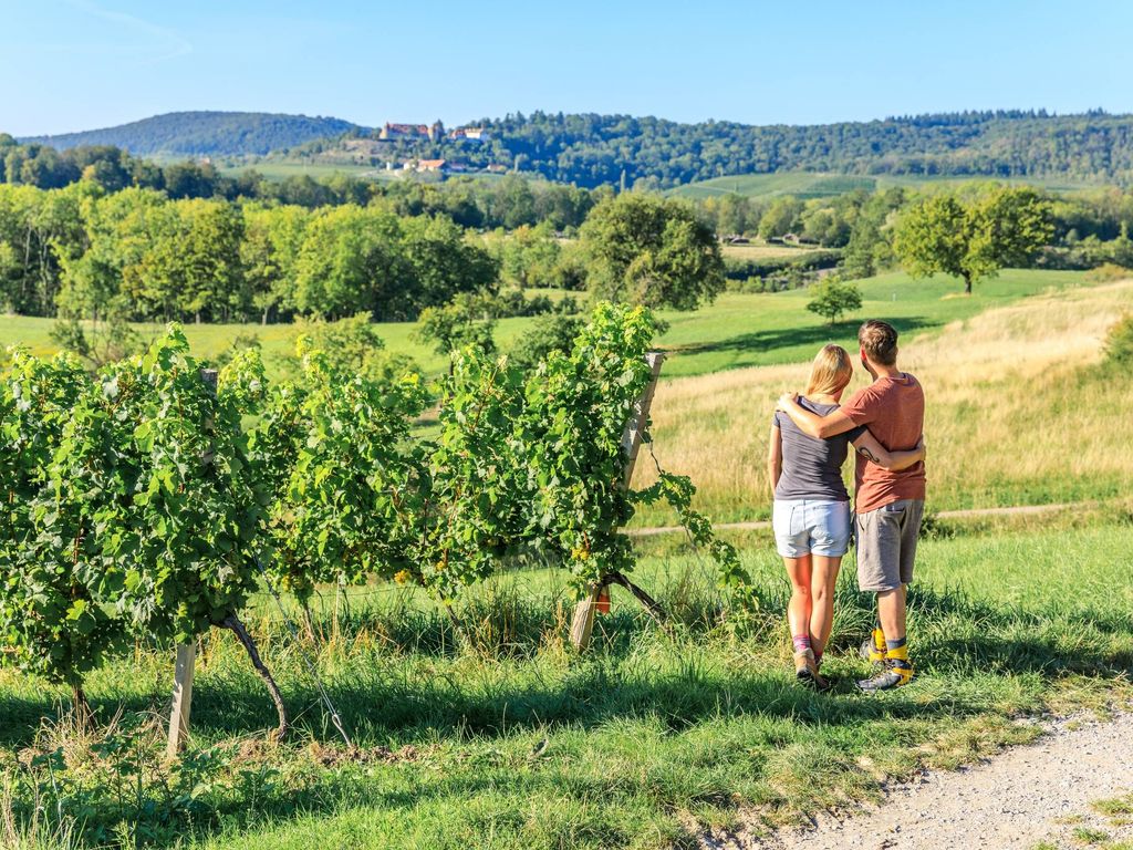 Apartment im Weinparadies