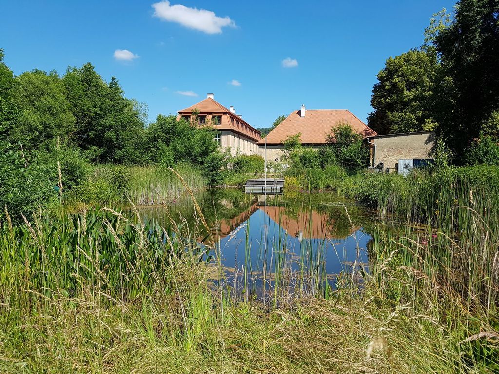 Propstei Wechterswinkel_Schwimmteich