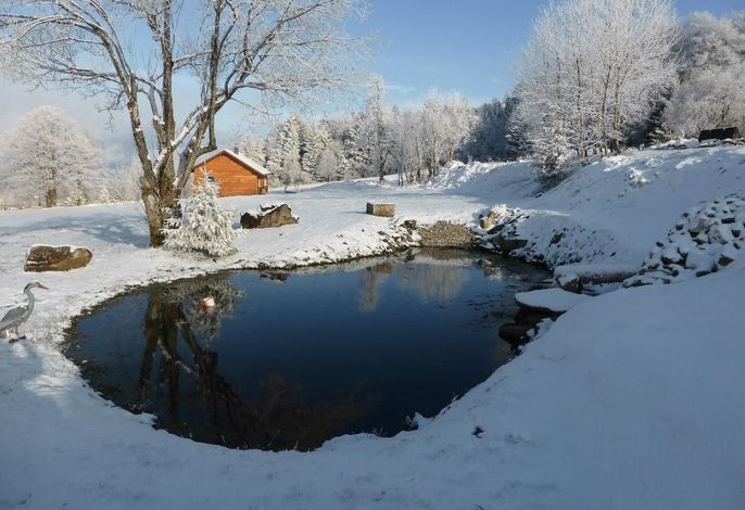 Bild 18