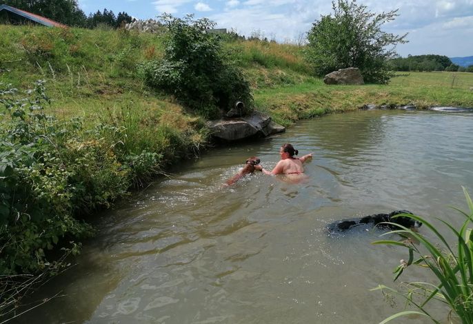 Bild 16