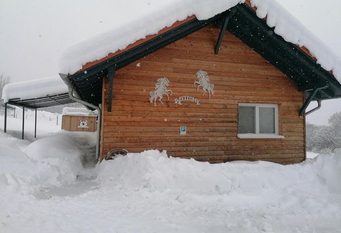 Bild 19