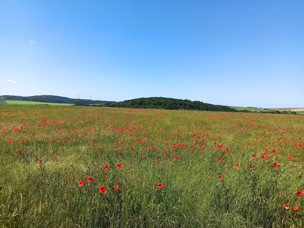 Fewo Höhbergblick