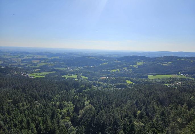 Bild 33