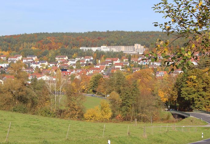 Bild 62