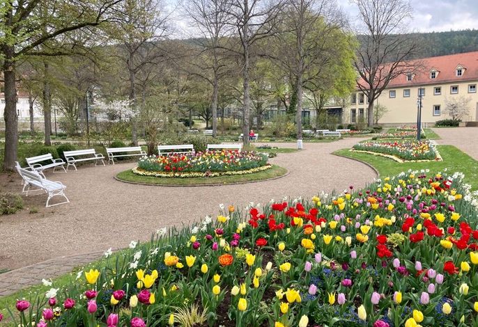 Bild 55