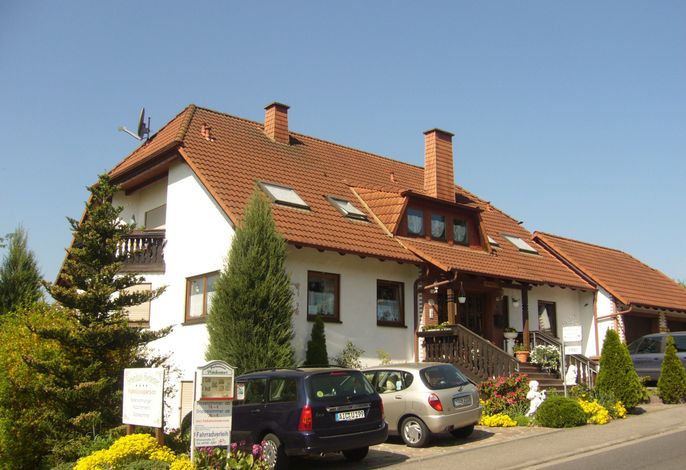 Bild 45