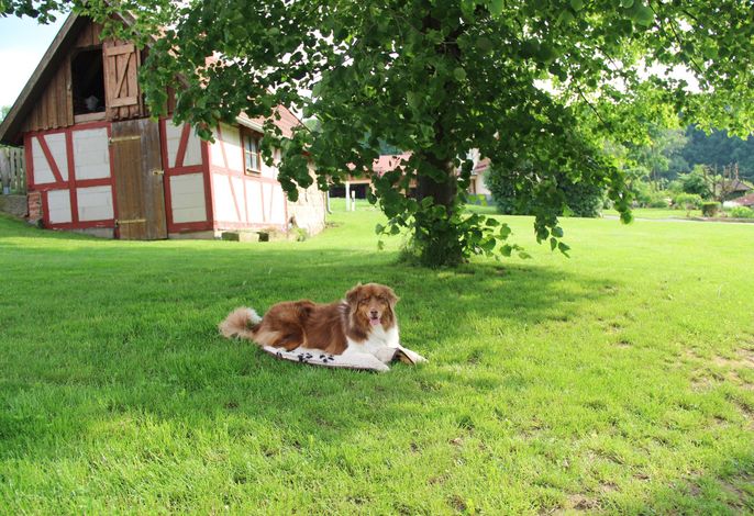 Bild 4