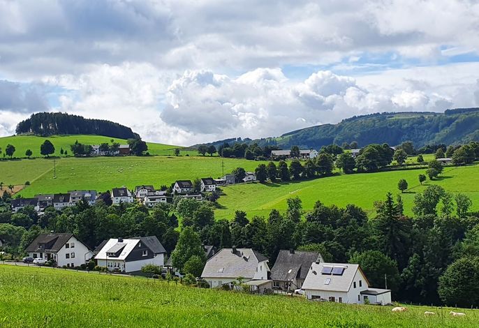 Bild 15