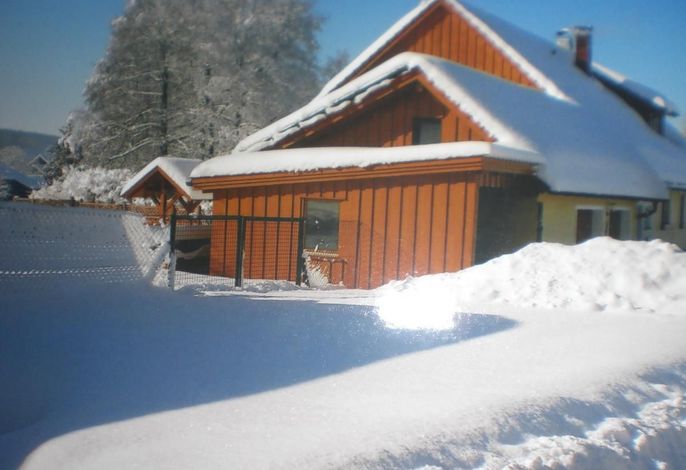 Bild 11
