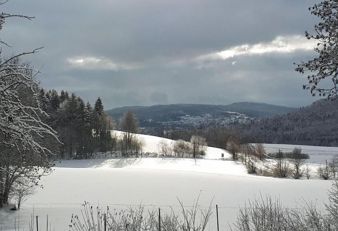 Bild 14
