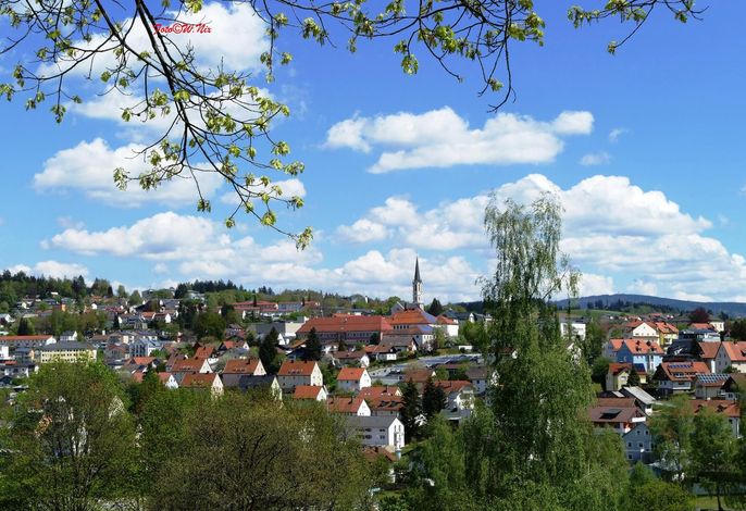 Bild 11