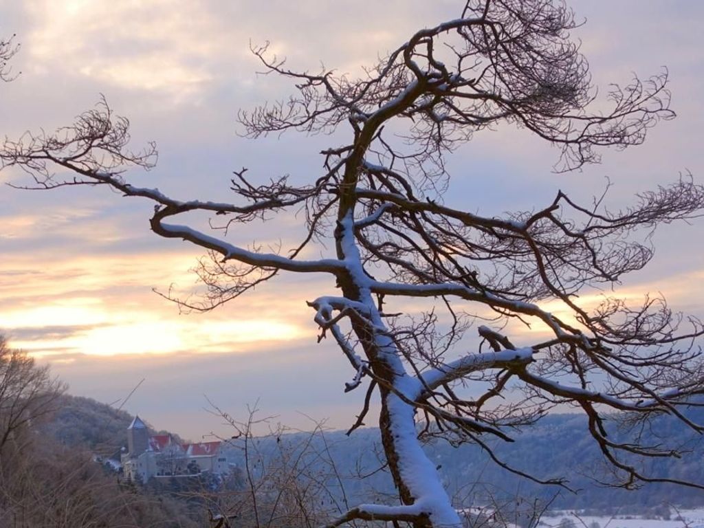 Blick auf die Burg