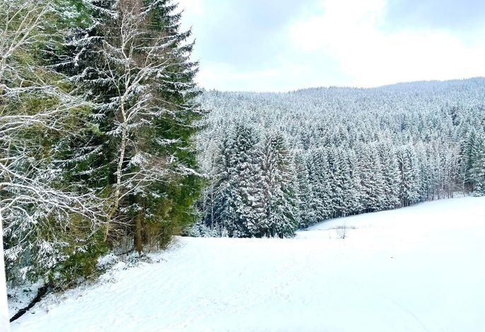 Bild 14