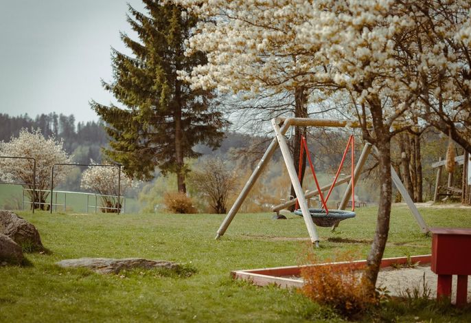 Bild 19