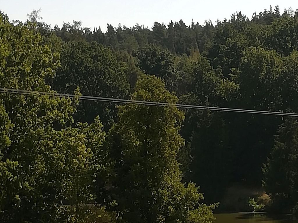 Ferienwohnung am Waldrand
