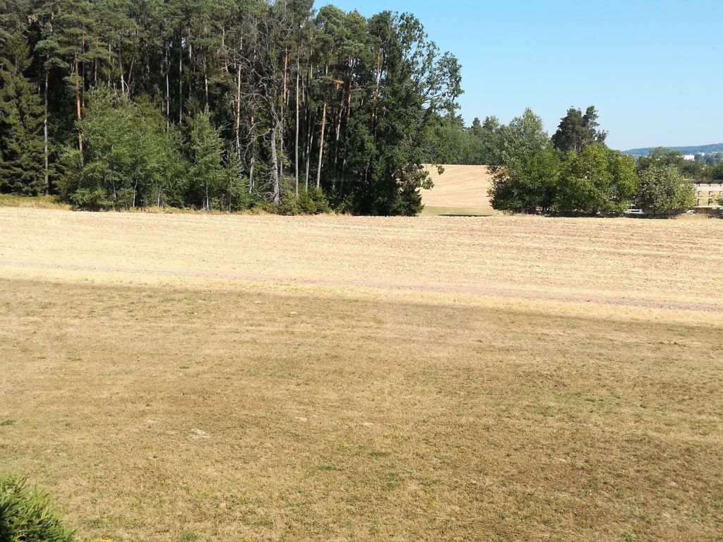 Ferienwohnung am Waldrand