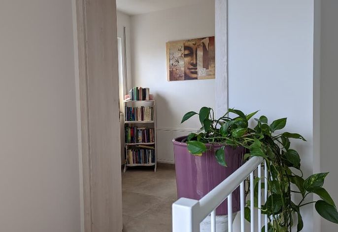 Bild 47