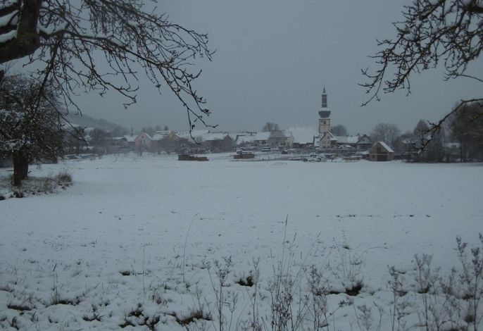 Bild 19