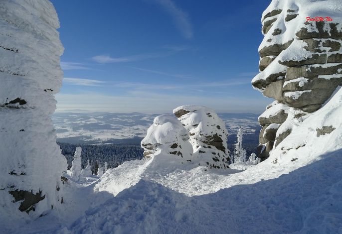 Bild 19