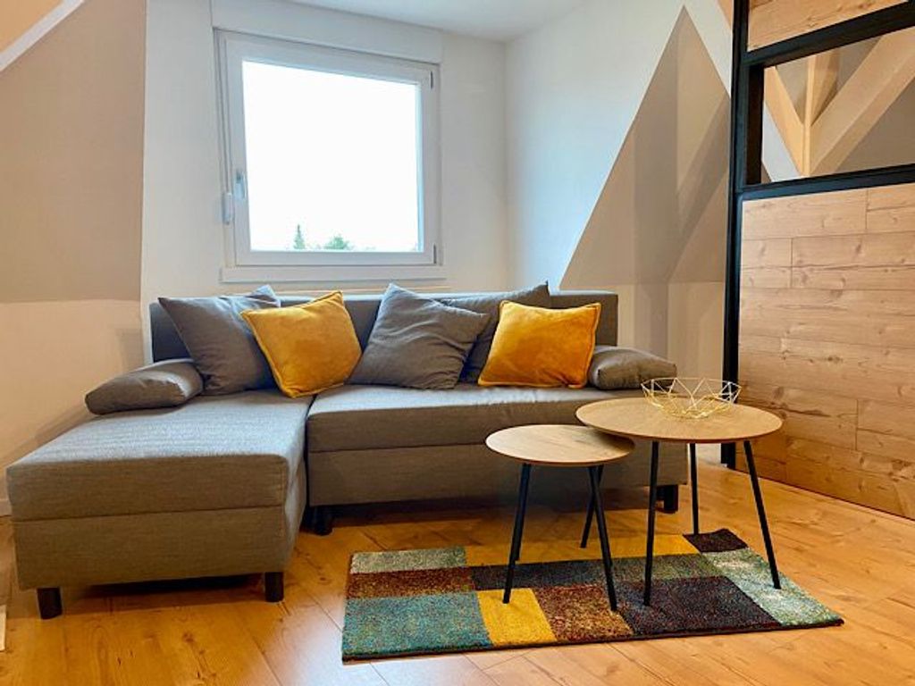 Wohnzimmer mit Schlafsofa