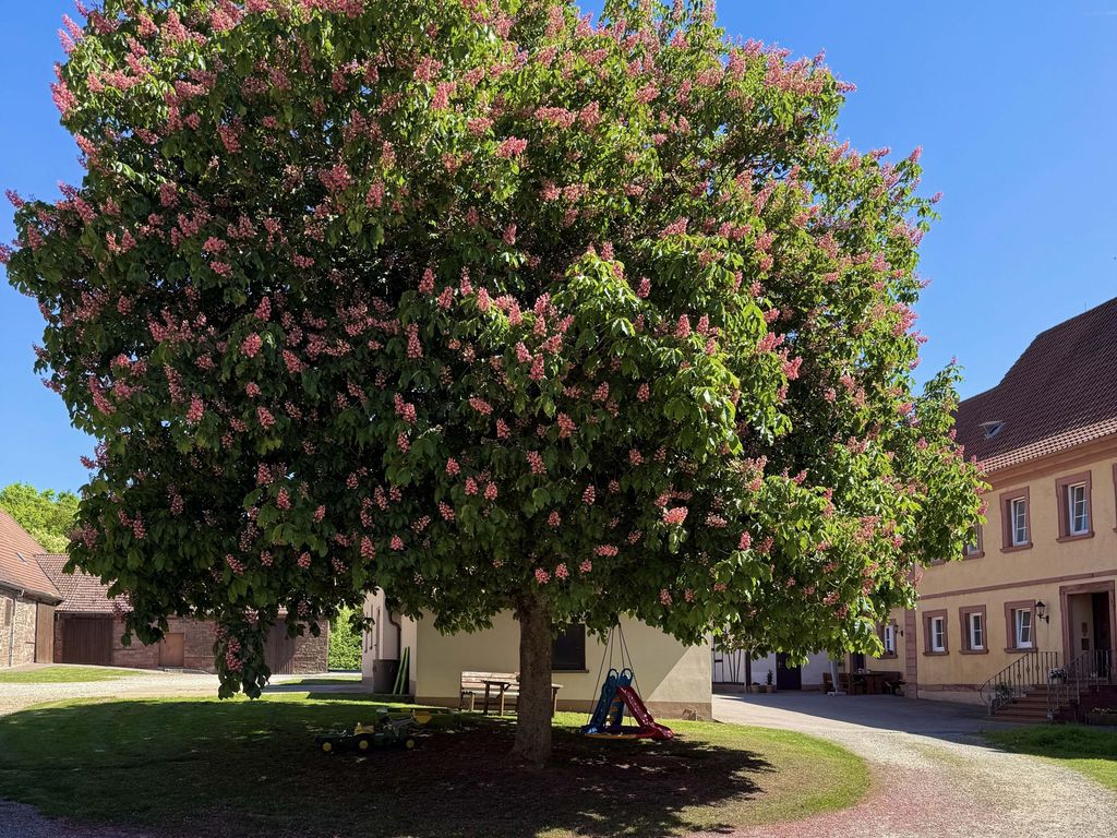Innenhof