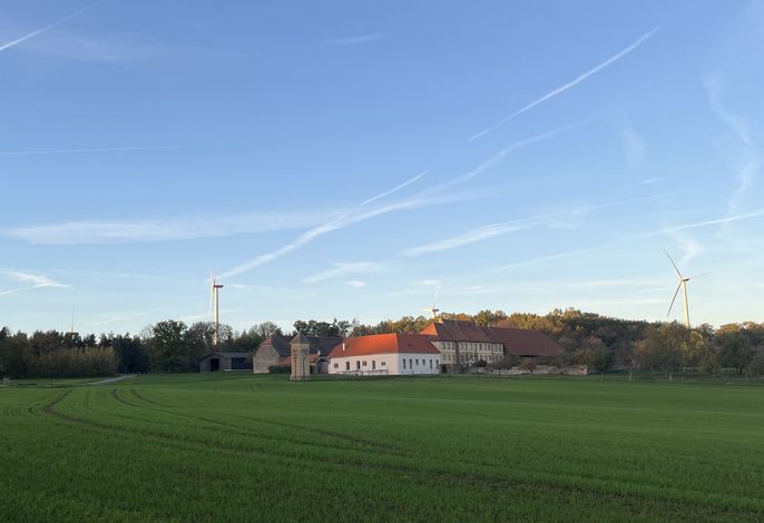 Bild 11