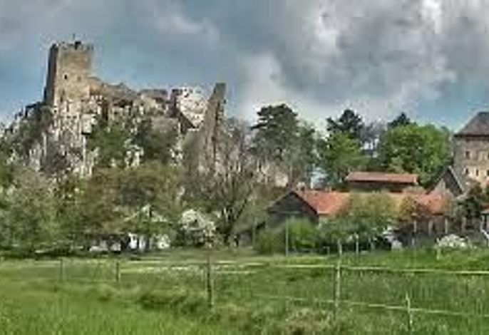 Bild 12