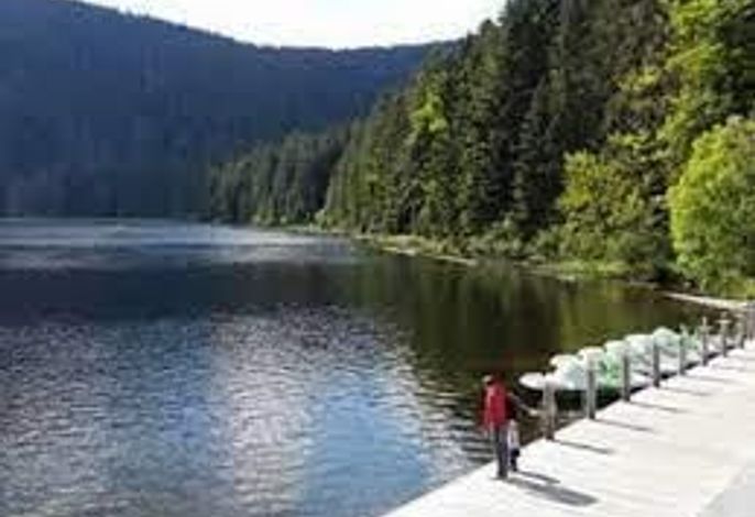 Bild 13