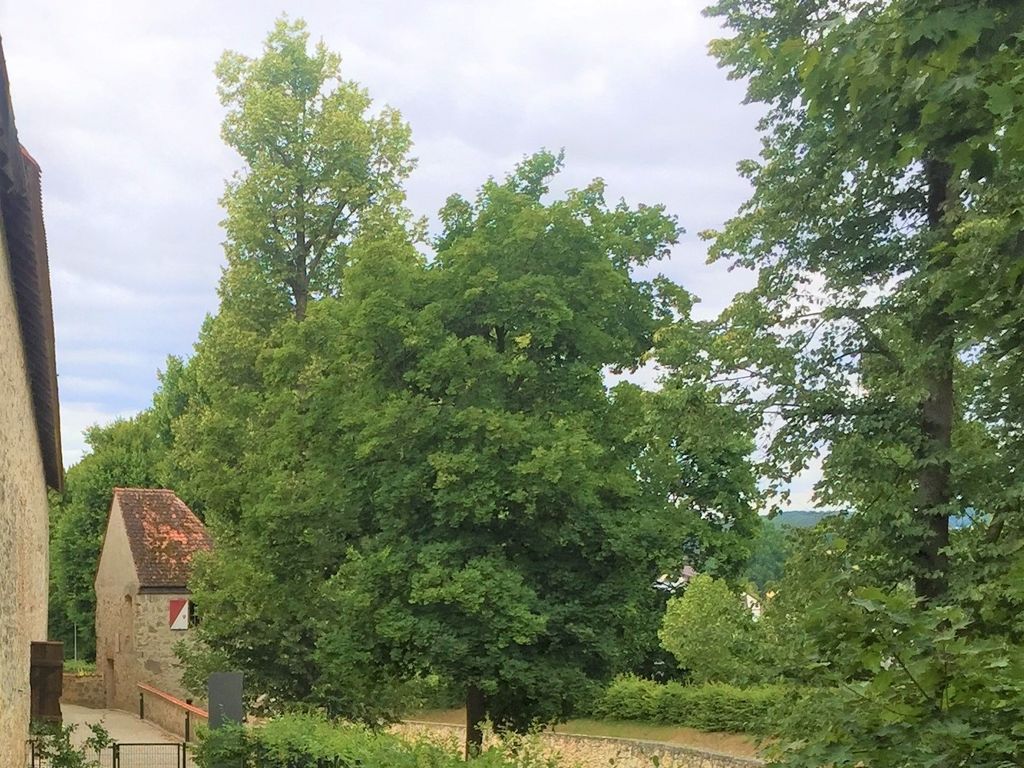 Garten Stadtgraben