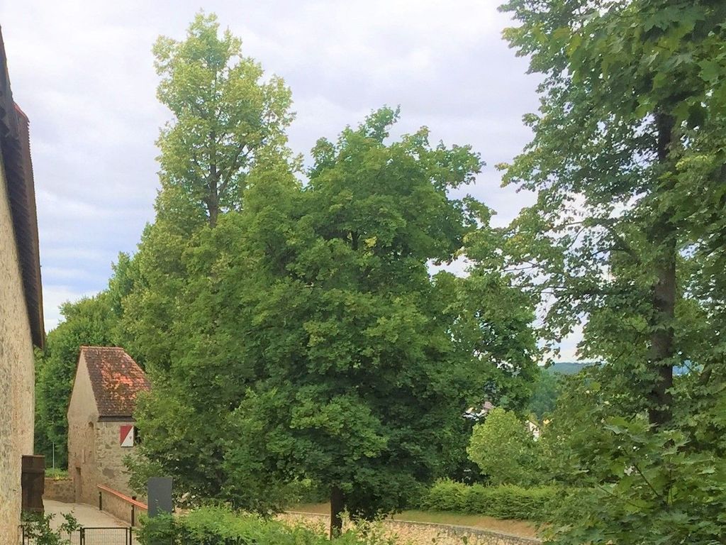 Garten Stadtgraben