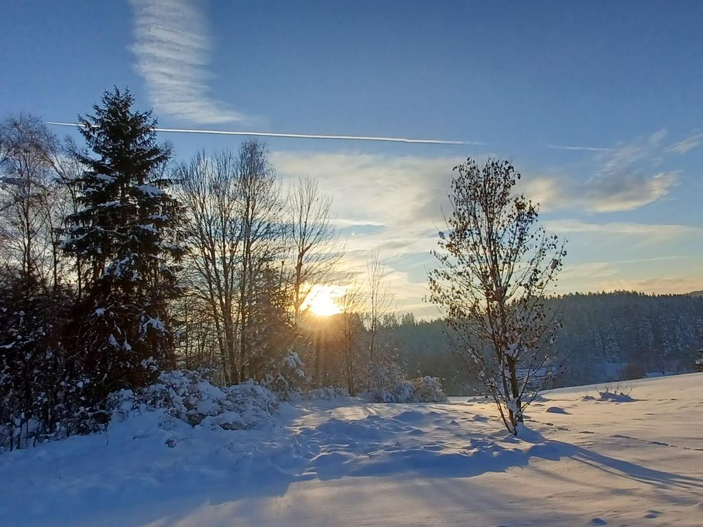 Ferienwohnung Haus Rita