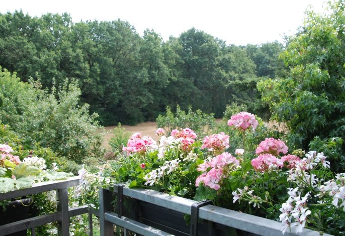 Ferienwohnung Am Waldrand – Foto 4