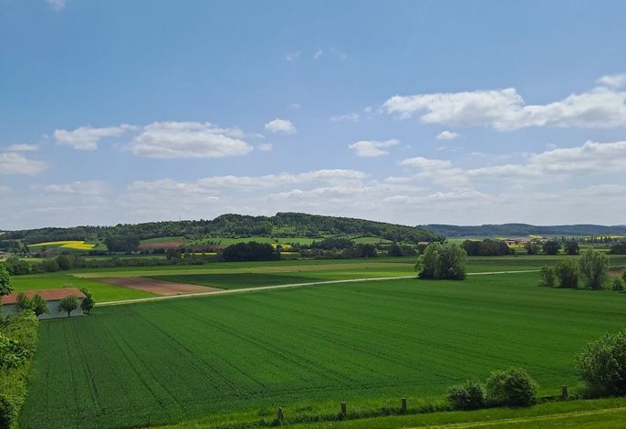 Bild 10