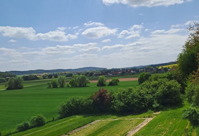 Bild 11
