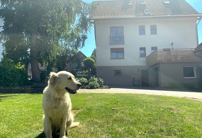 Bild 2