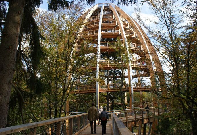 Bild 12