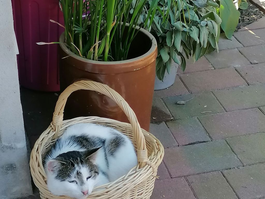 Auch hier läßt es sich gut aushalten!