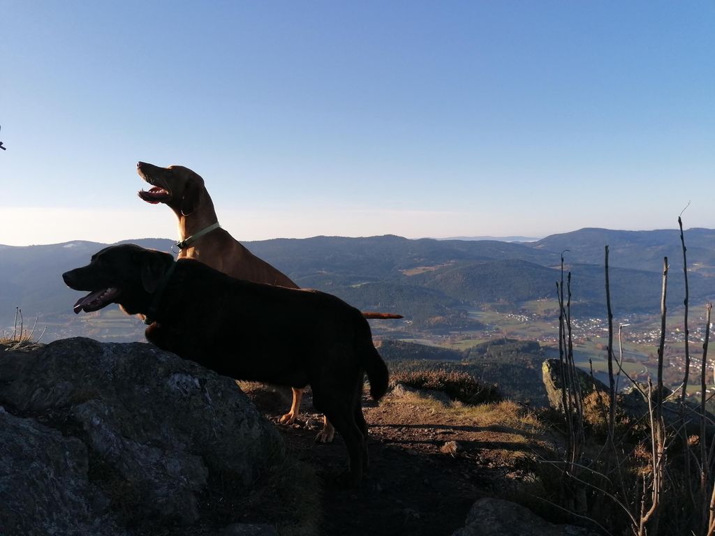 Wandertour nach CZ