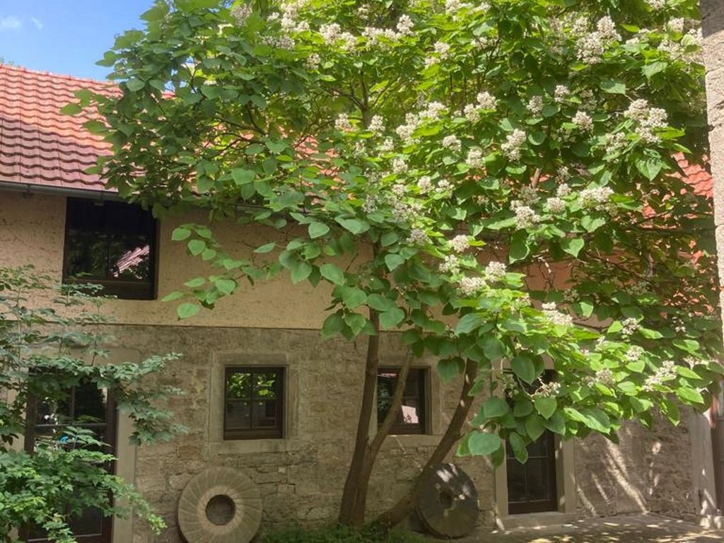 Uhlenmühle