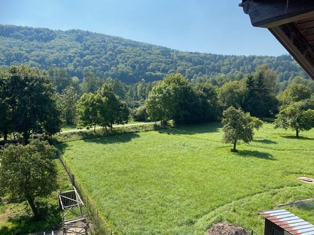Ausblick