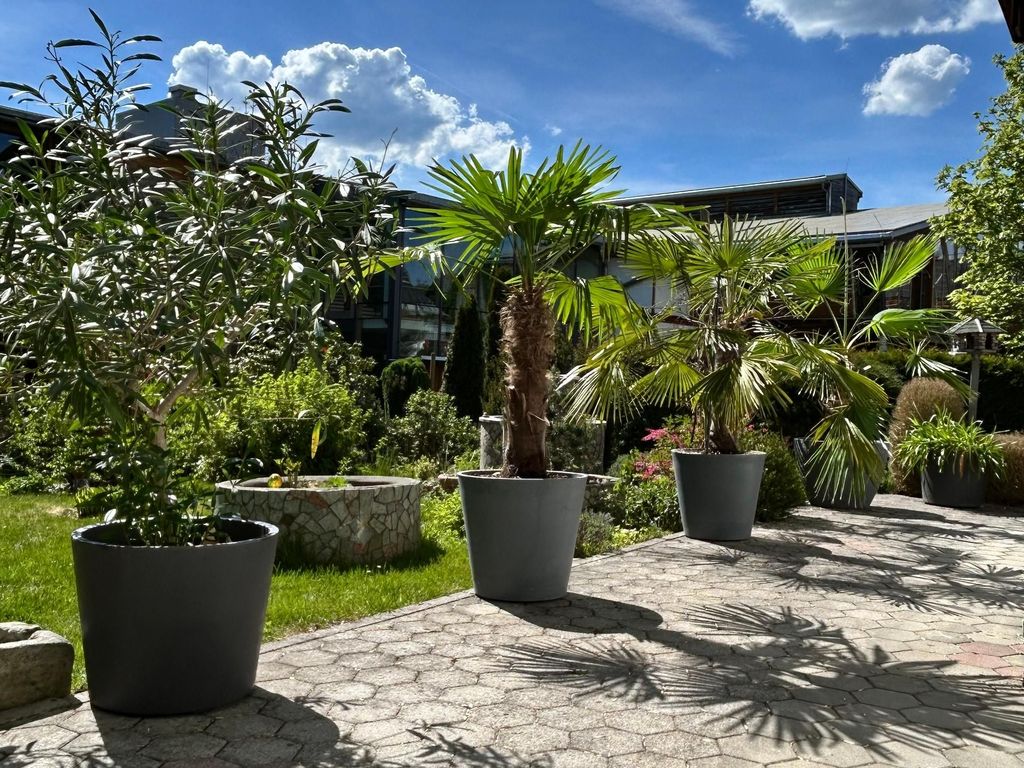Habicht Ferienhaus