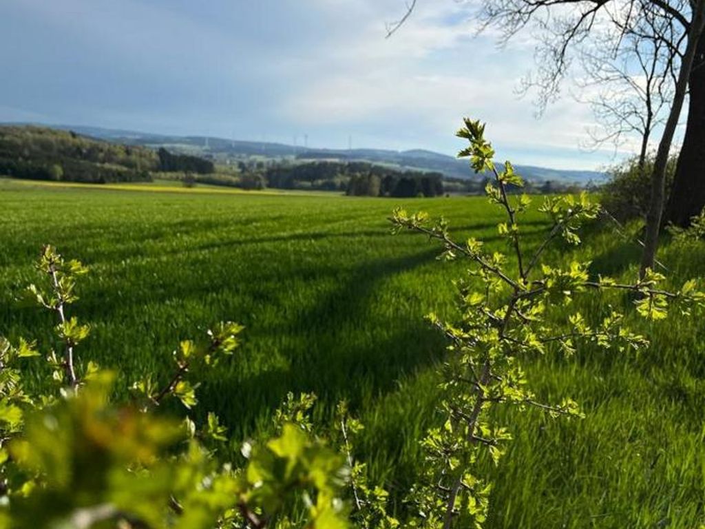 Ferienwohnung zur Bugspitze