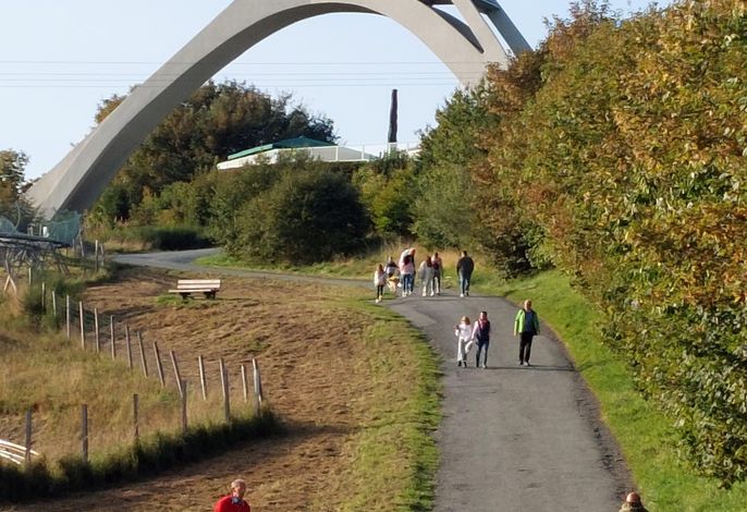 Bild 8