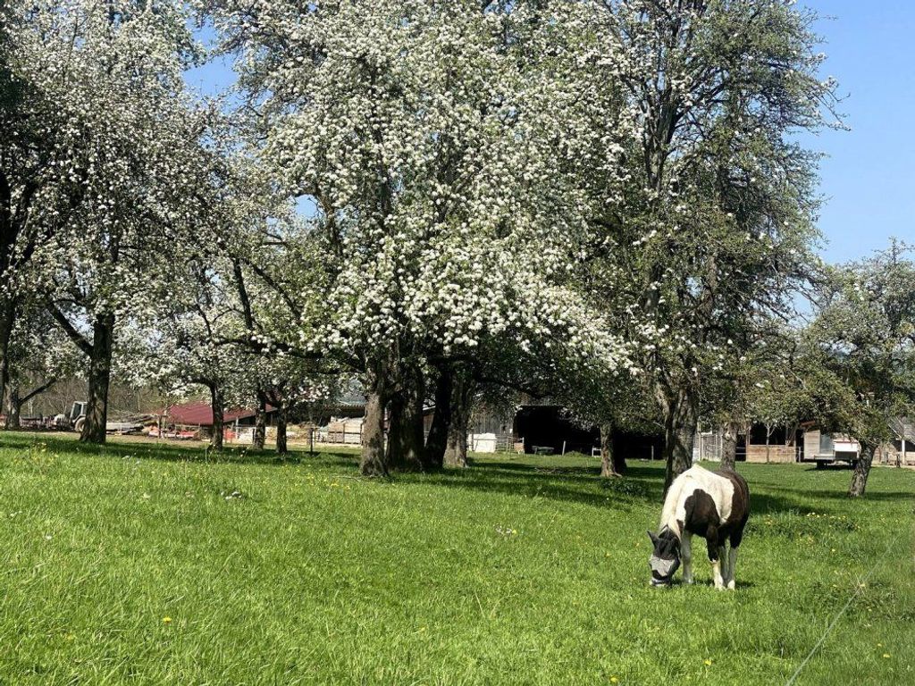 Unsere Tiere auf dem Helchenhof