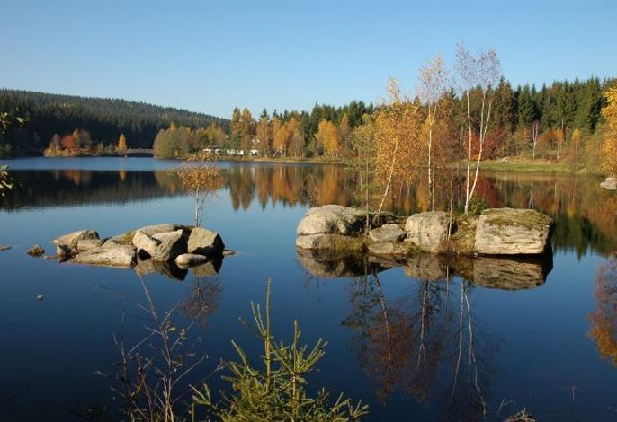 Bild 44