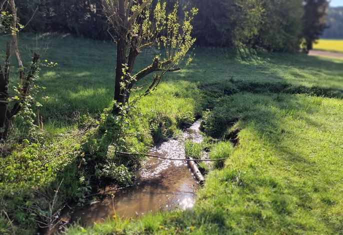 Bild 12