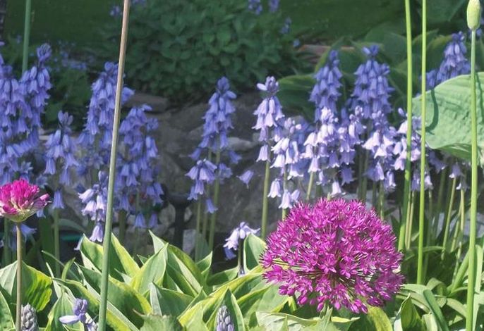Hauptbild