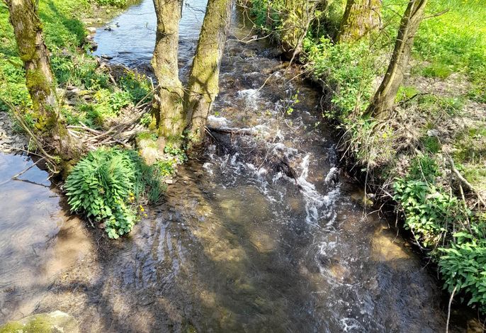 Ferienhaus Goldeiche – Foto 4