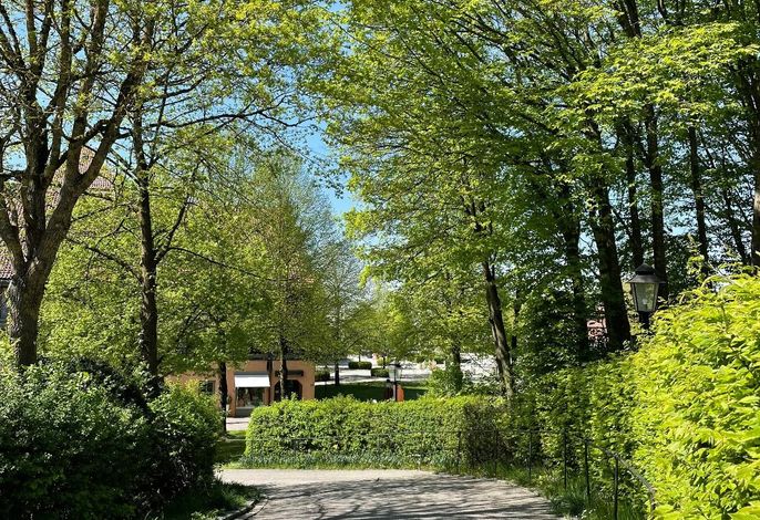 Bild 14